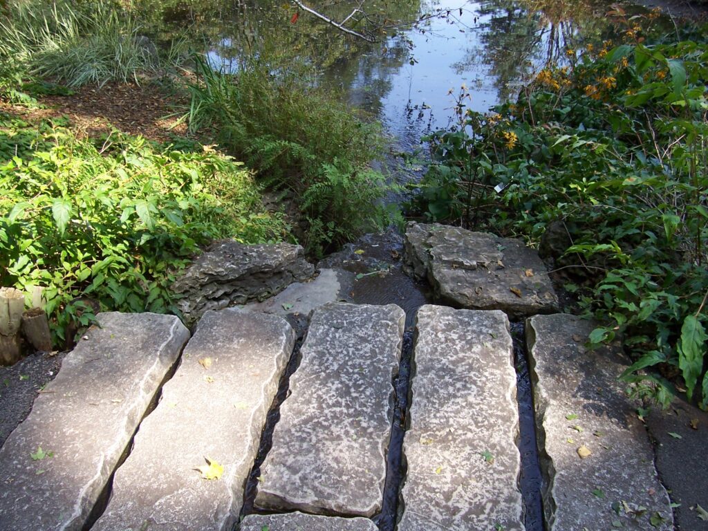 Use of long, cut stones to create a path through standing water; University of Minnesota
