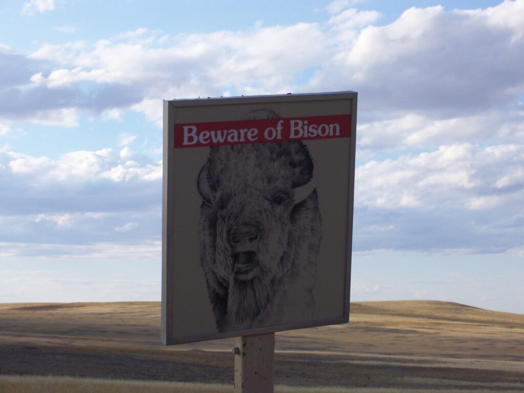 sign-beware-the-bison