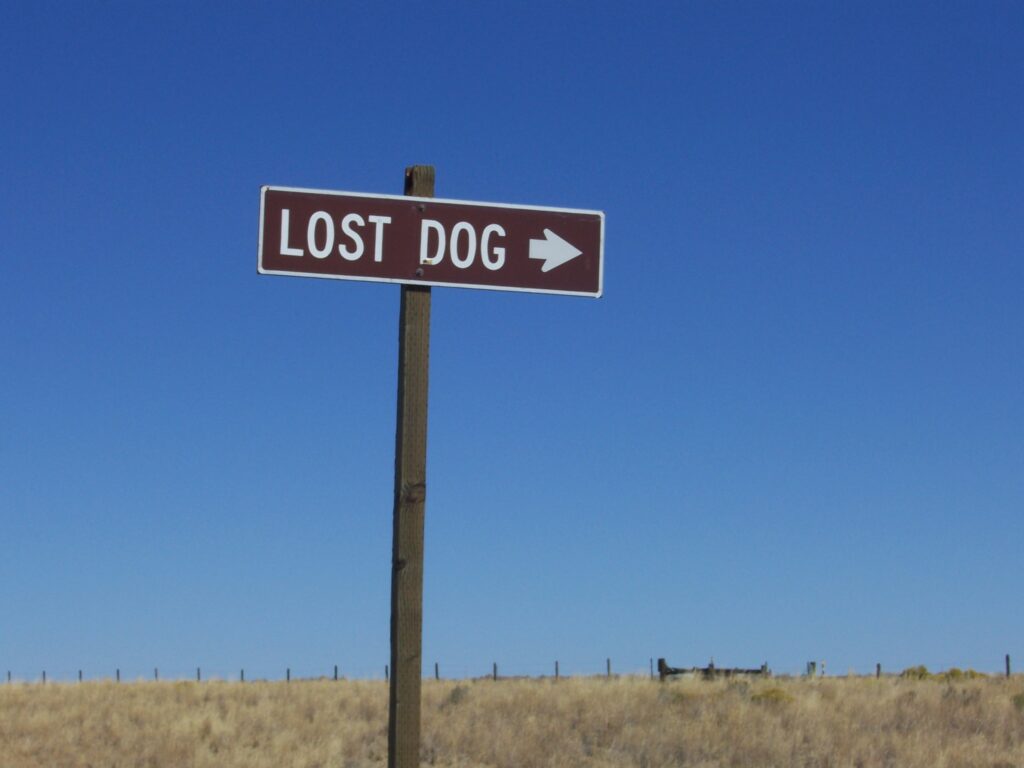 sign-lost-dog?