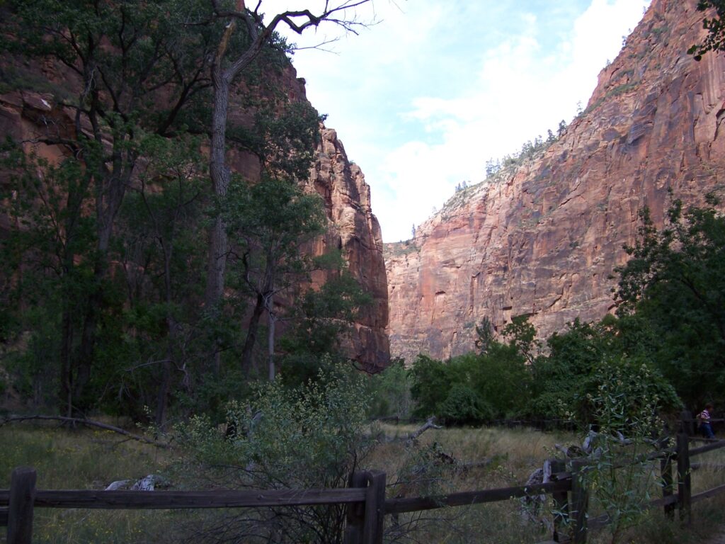 photo-zion-cliff-background-prairiegrass-foreground