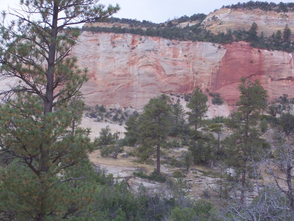 photo-section-of-red-cliff-with-gray