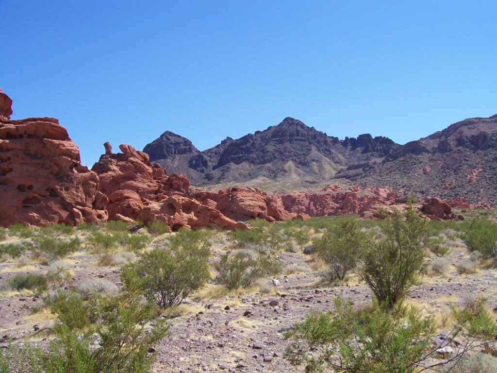 photo-AZ-red-outcropping-near-dark-rock-in-background
